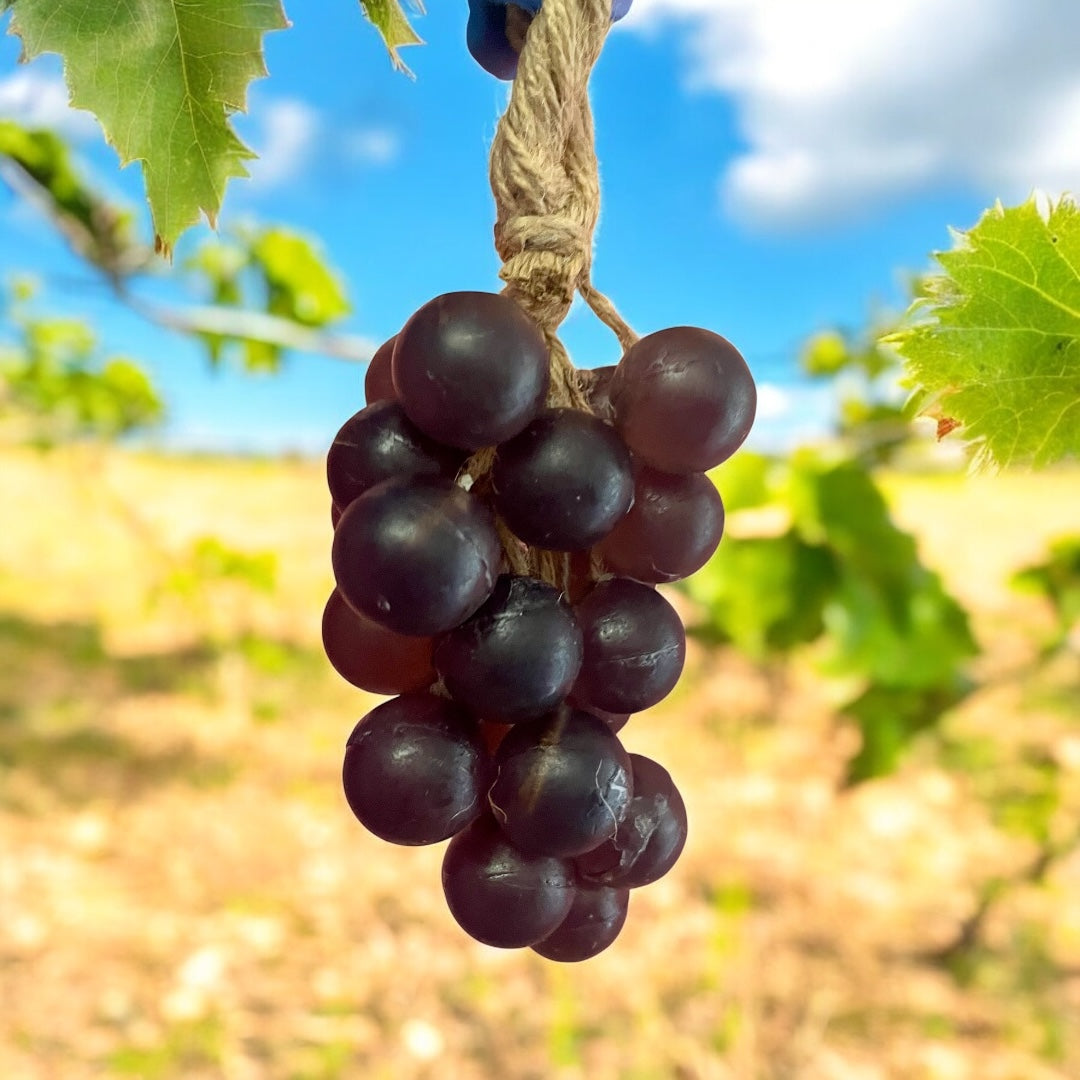 El Racimo de Uvas 🍇