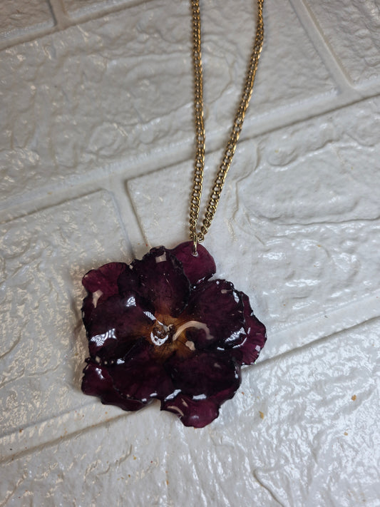 Rosa del Desierto Roja