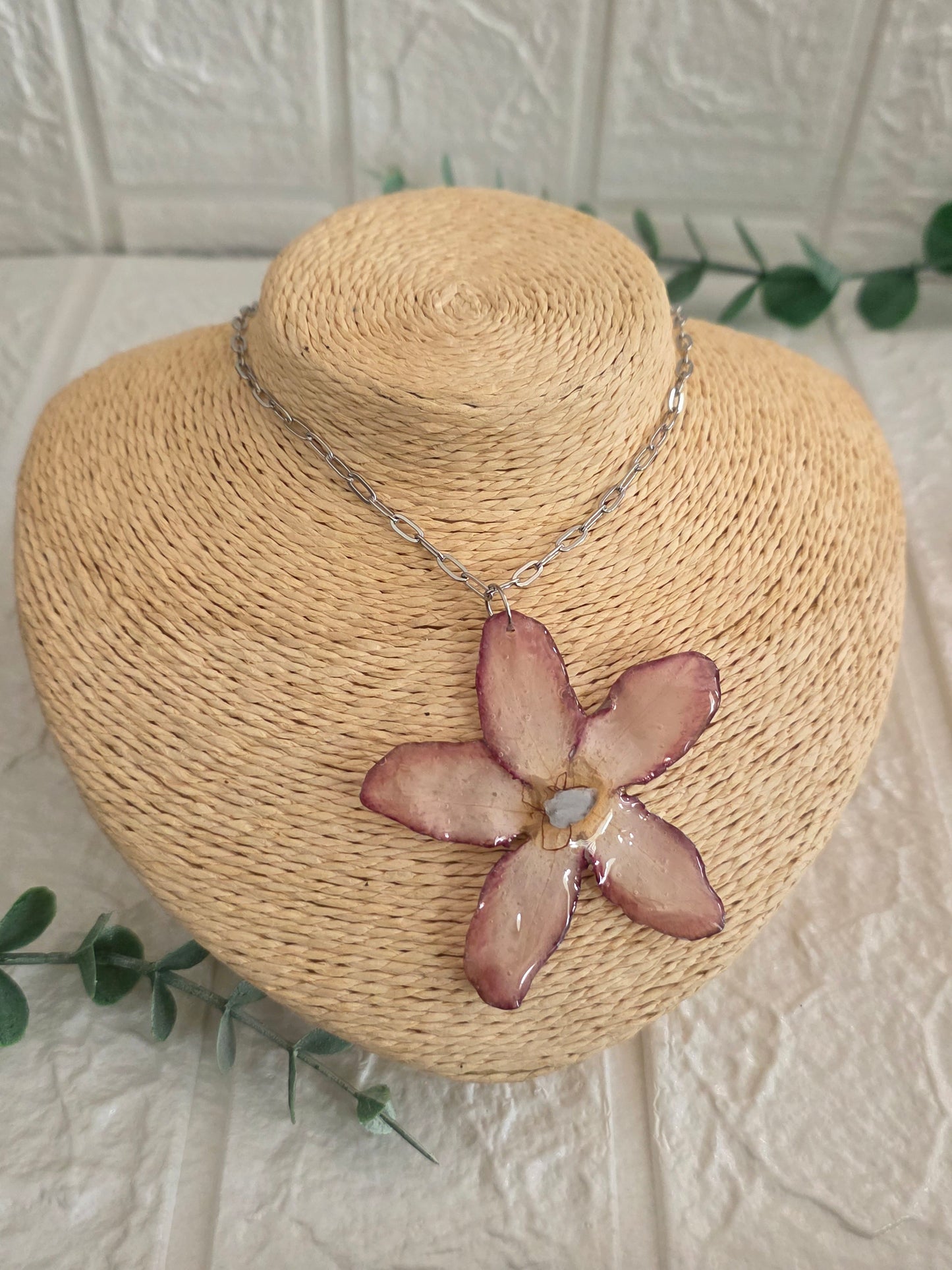 Rosa del Desierto reversible