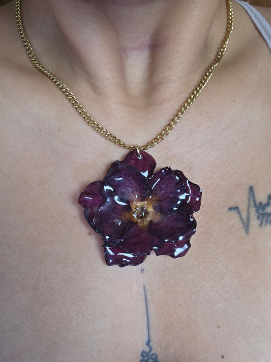 Rosa del Desierto Roja