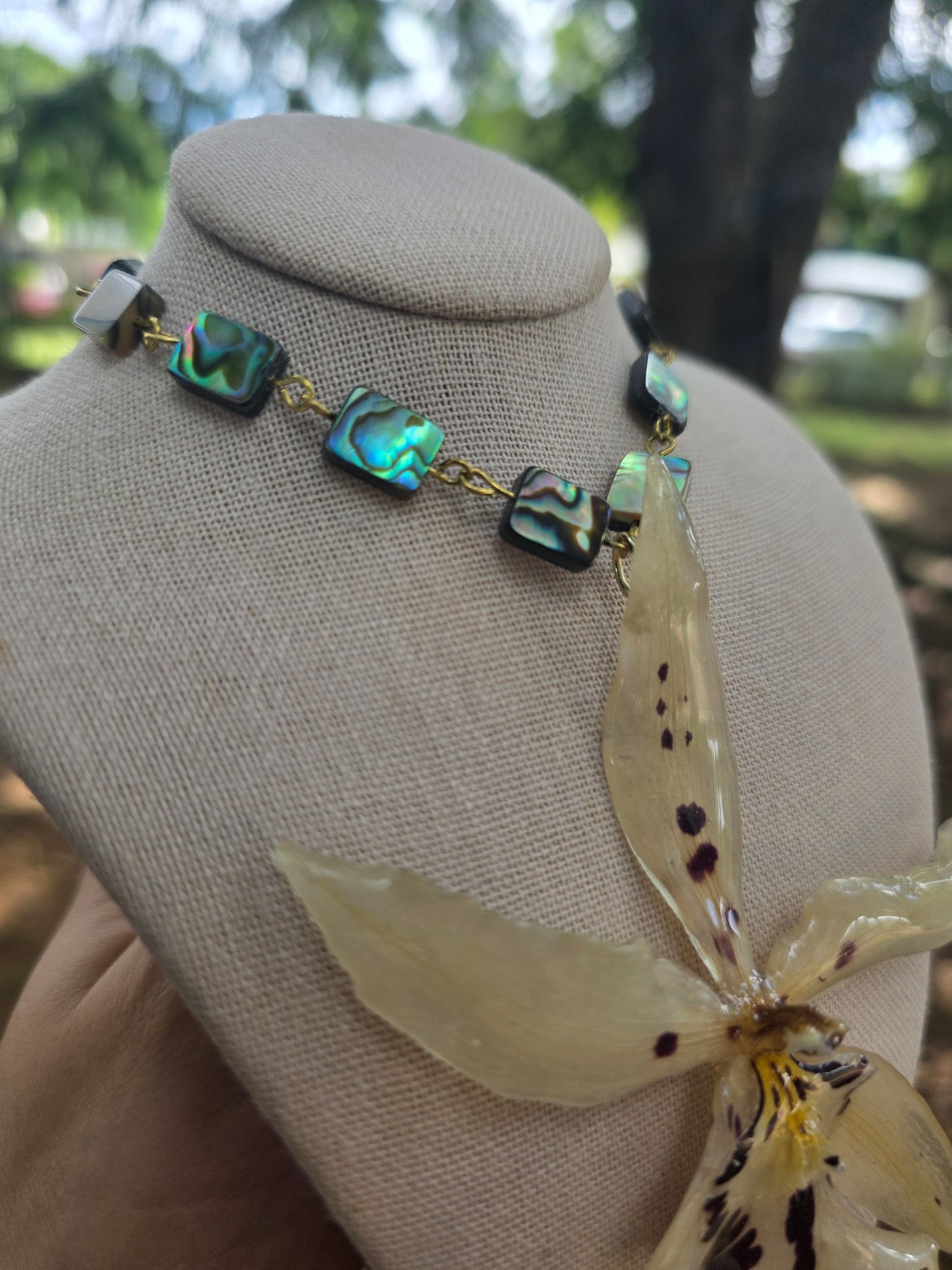 Orchid White Abalone