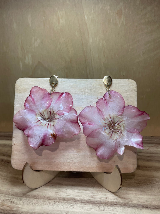 Rose Desert Earrings