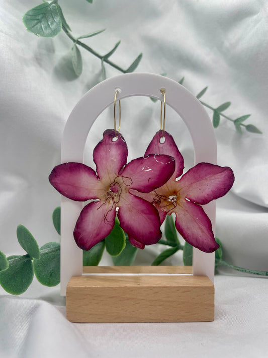Desert Rose Earrings