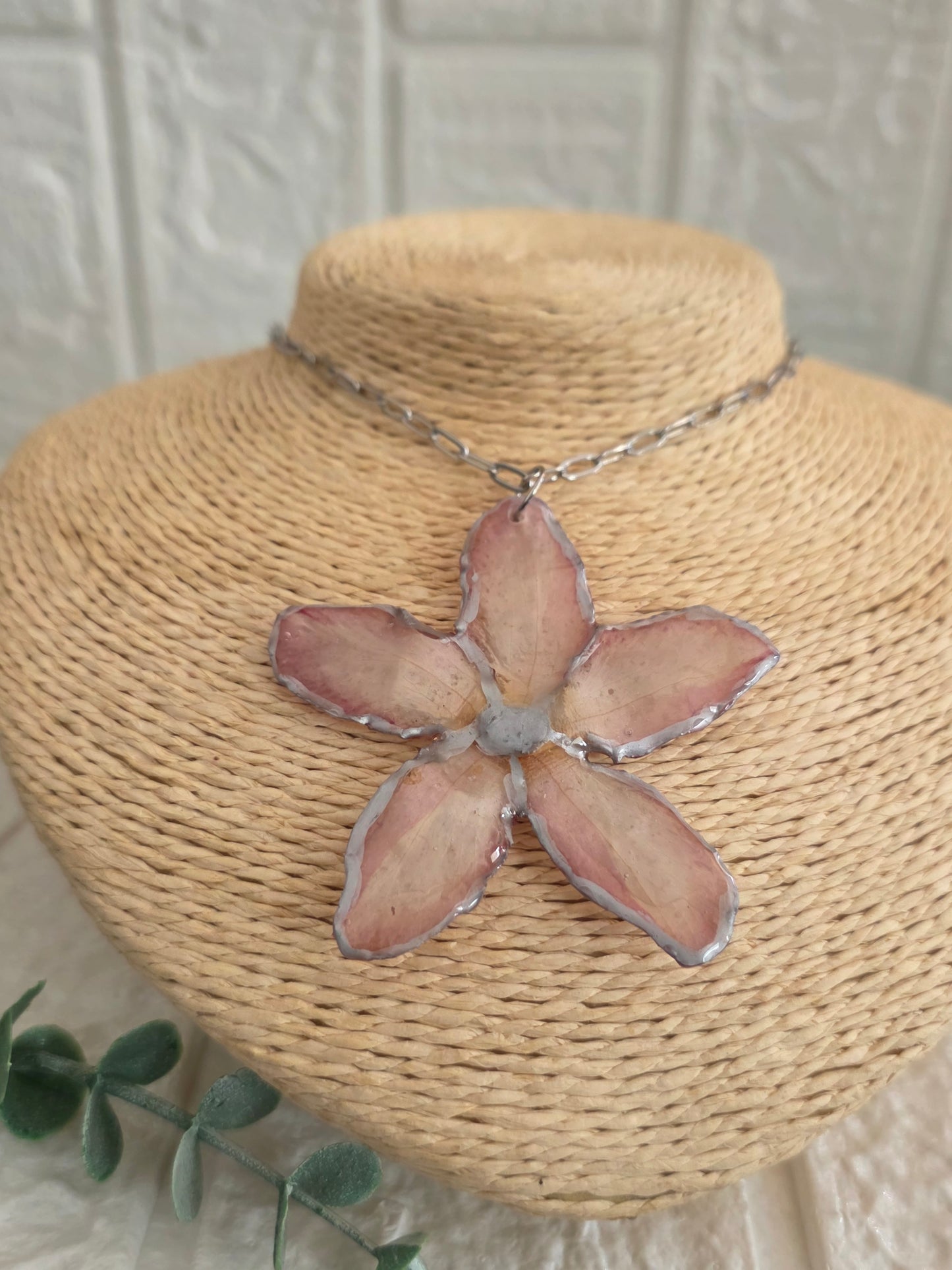 Rosa del Desierto reversible