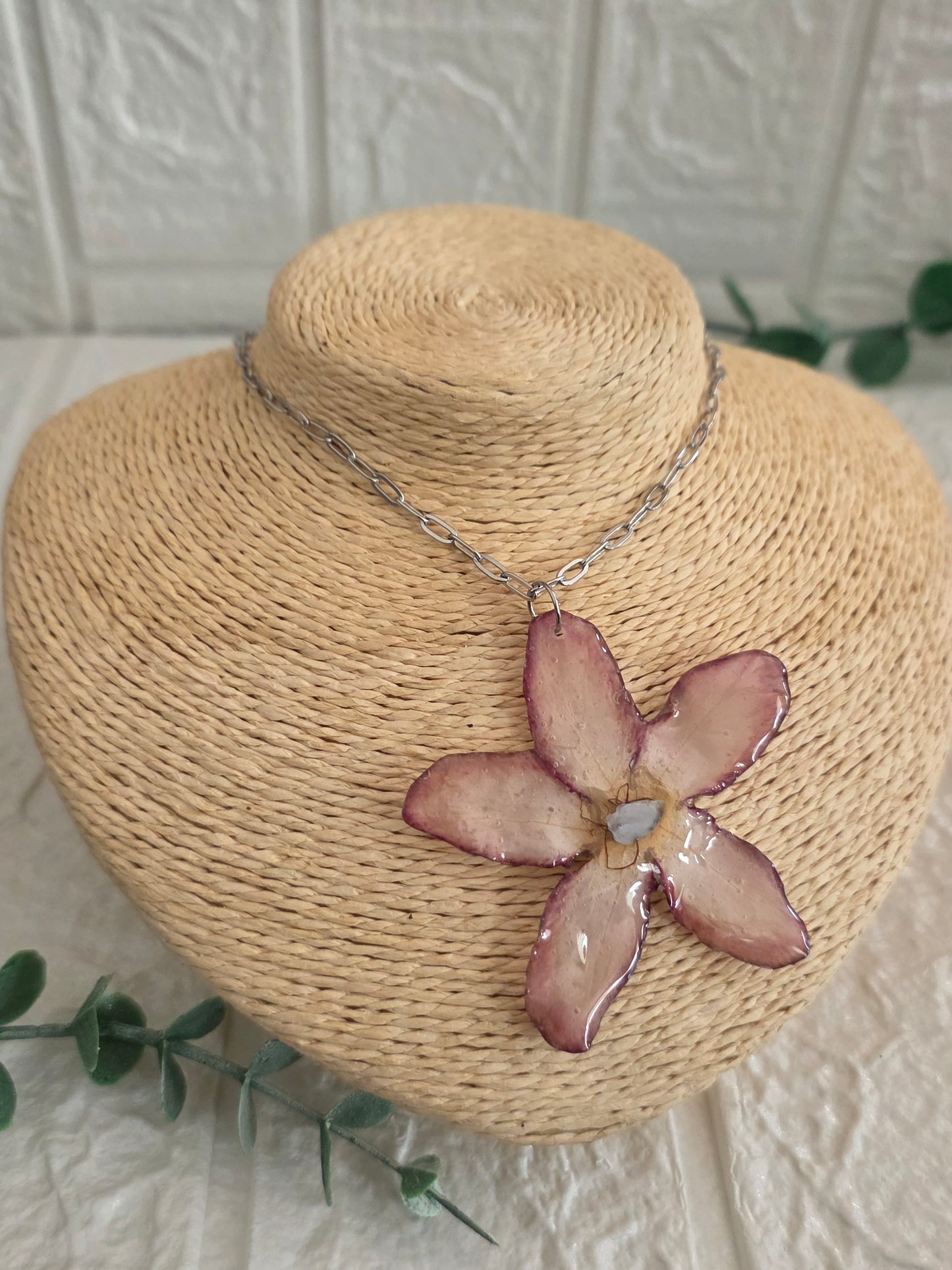 Rosa del Desierto reversible