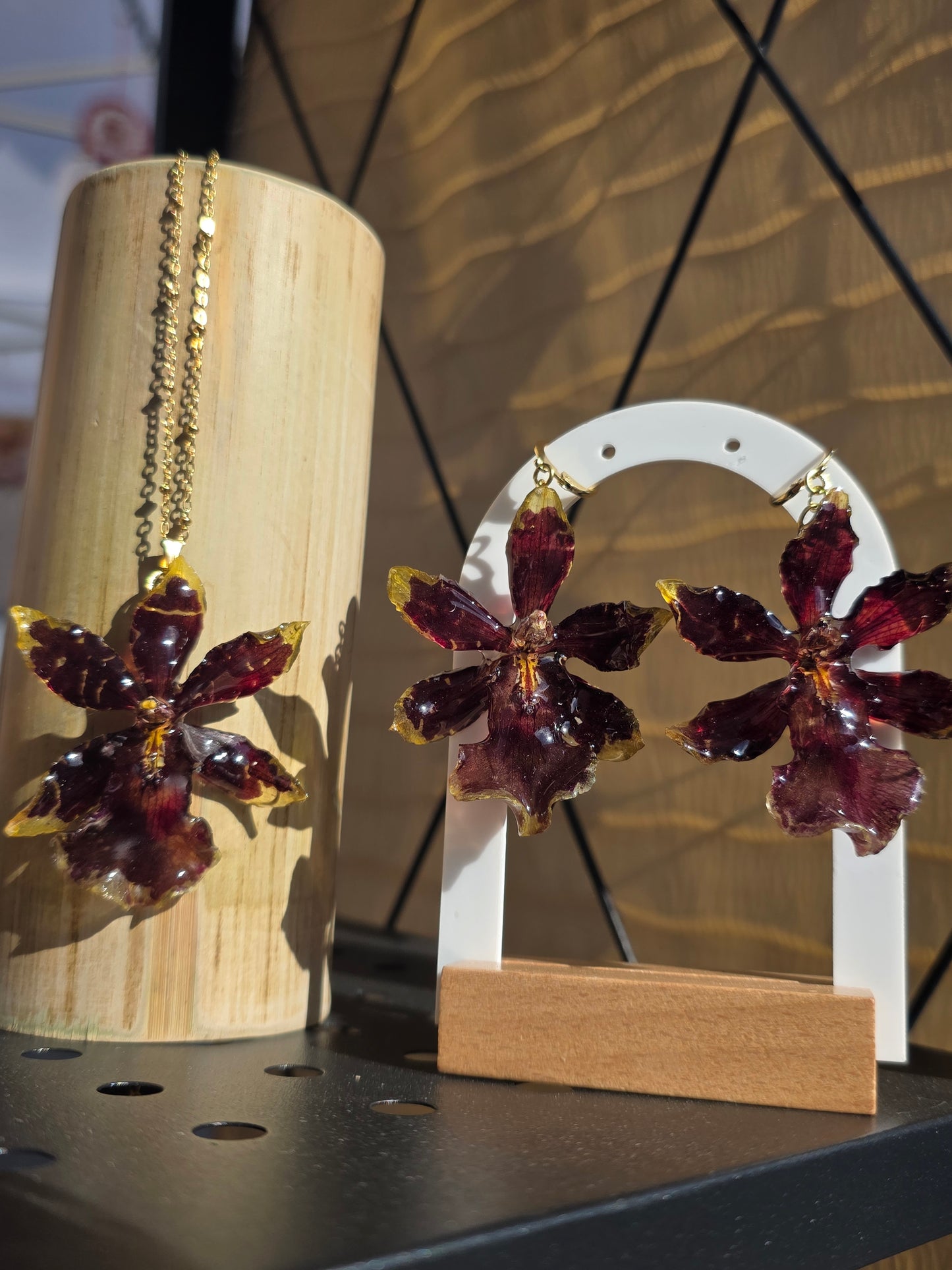 Oncidium Orchid 🤎 Golden Red Star (set)