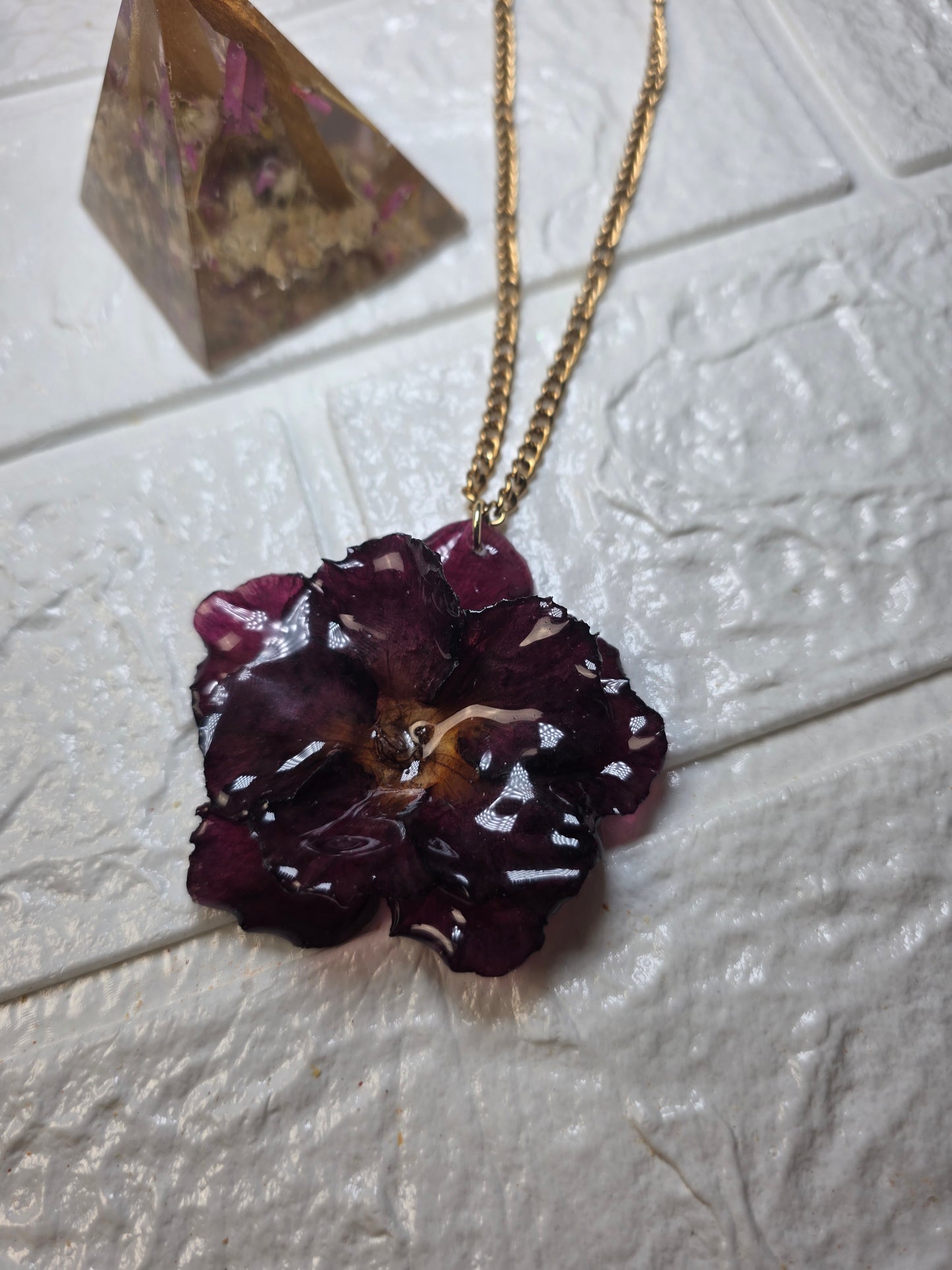 Rosa del Desierto Roja