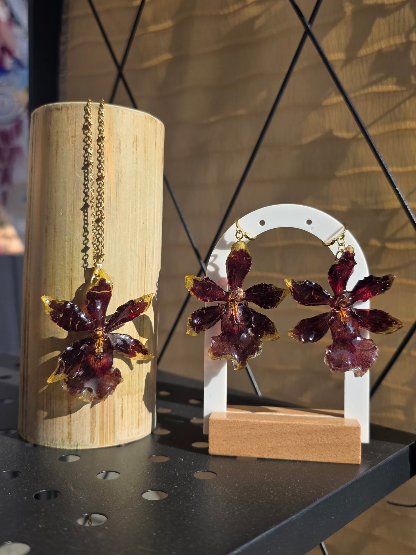 Oncidium Orchid 🤎 Golden Red Star (set)