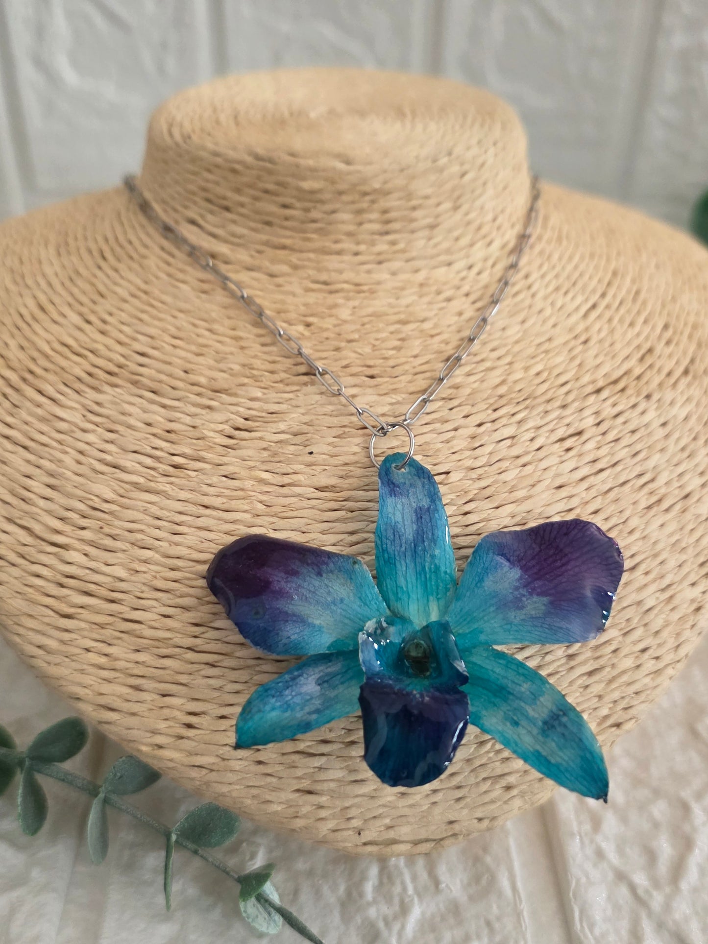 Orquídea Azul 💙
