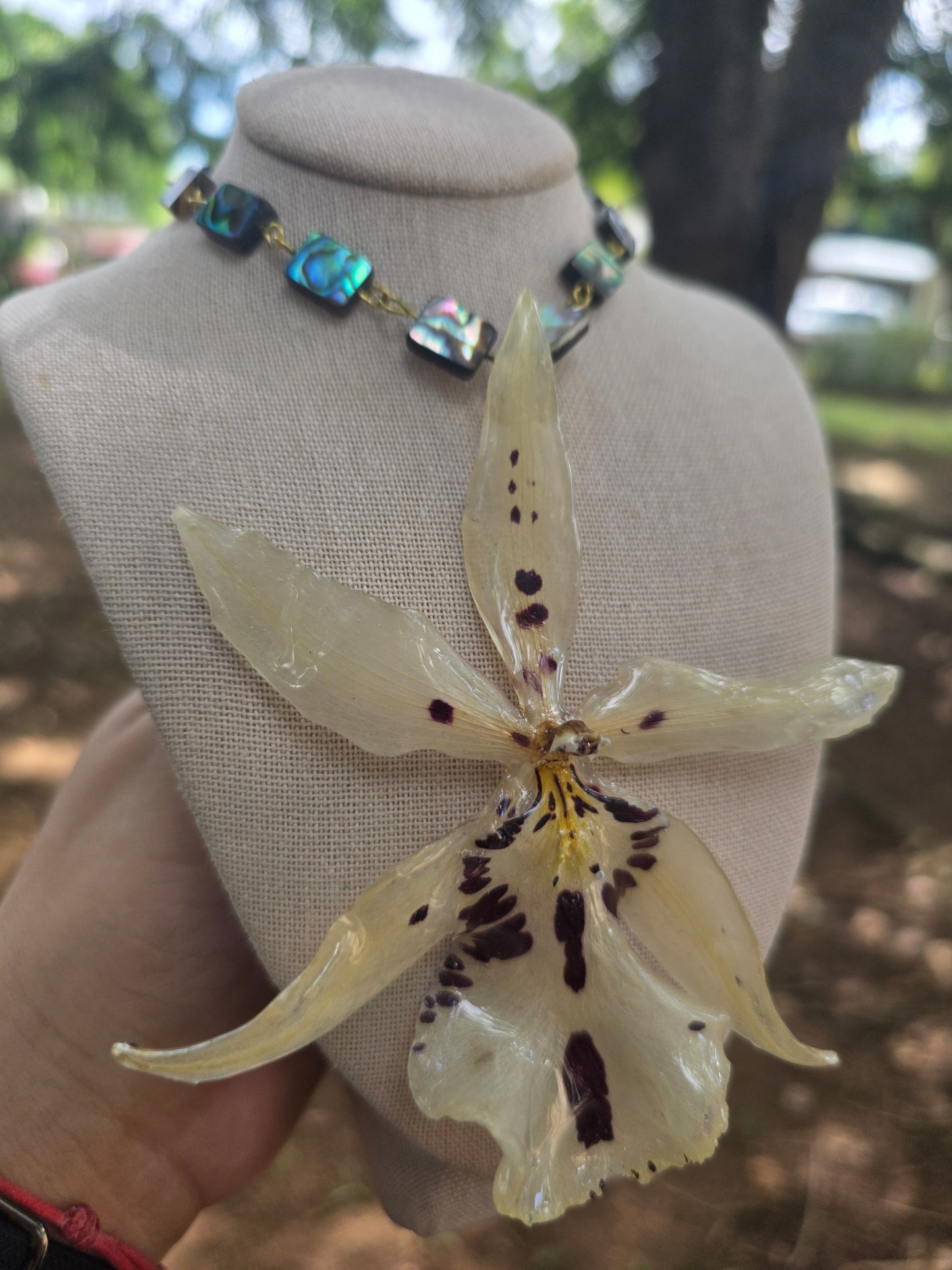 Orchid White Abalone